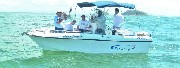 Barcos para pescaria em Paranaguá e Ilha do Mel