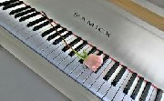 Aulas de musica :  piano, teclado e órgão