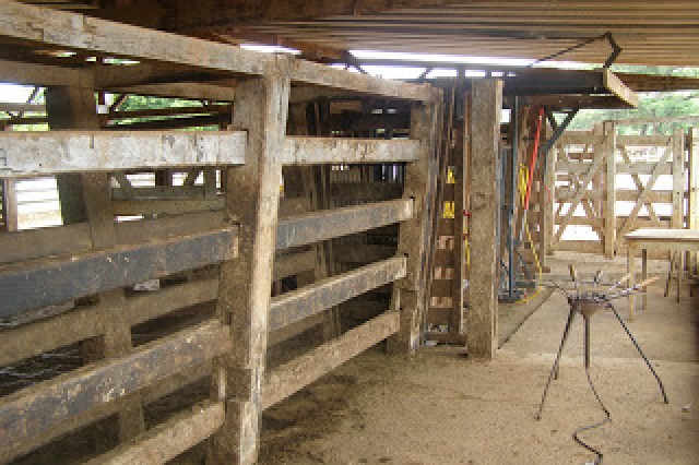 Foto 6 - Fazenda de gado bocaiuva norte de minas gerais
