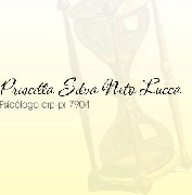 Priscilla Neto - CRP PR 07904