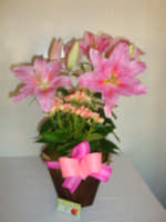 Foto 1 - Flores para entrega, floriculturas