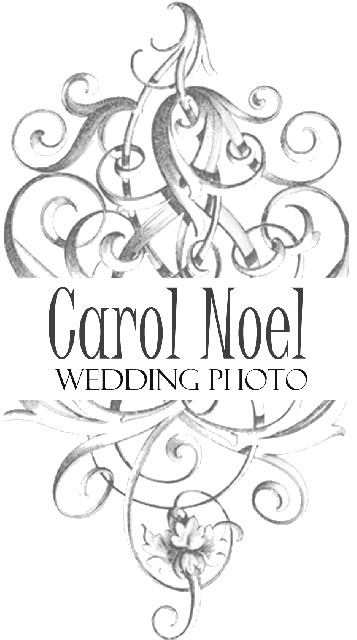Carol noel fotografia