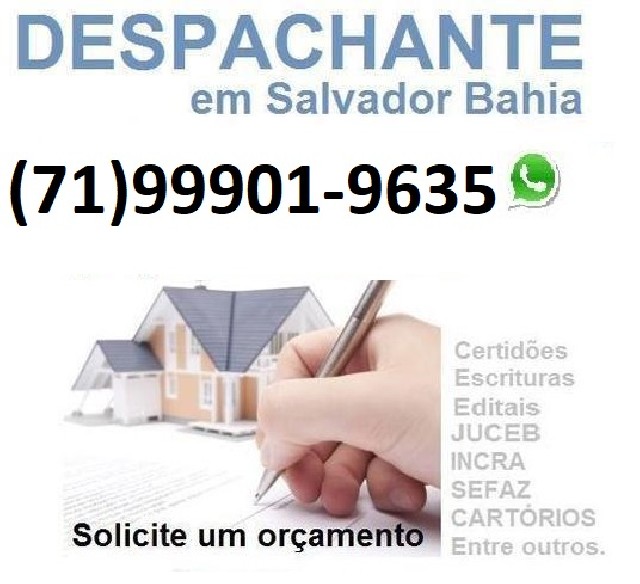 Foto 1 - Despachantes de salvador Bahia