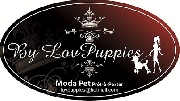 Lovpuppies Pet Store by Lovpuppies kennel