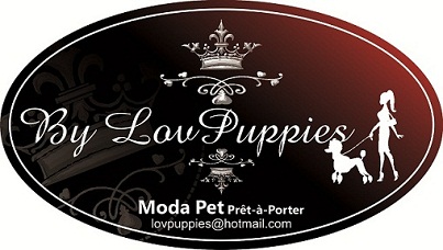 Foto 1 - Lovpuppies Pet Store by Lovpuppies kennel