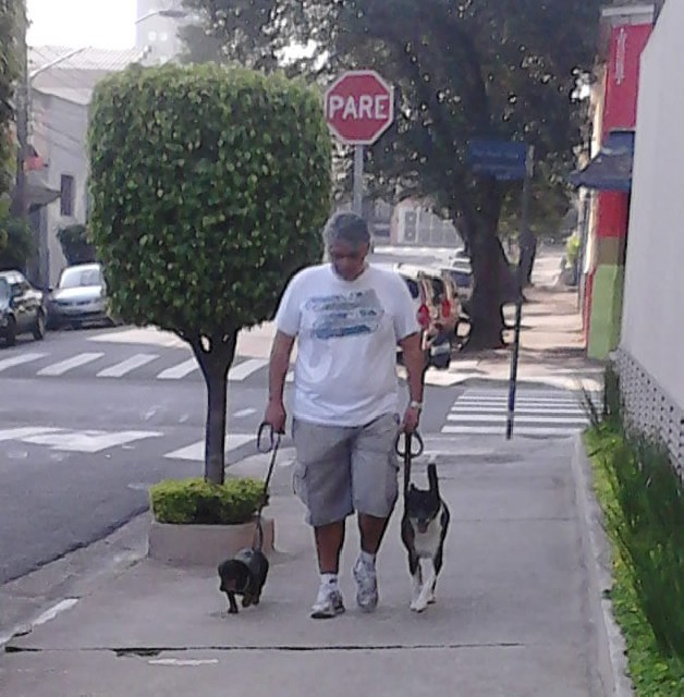 Foto 1 - Dogwalker - passeador de cães - Tatuapé